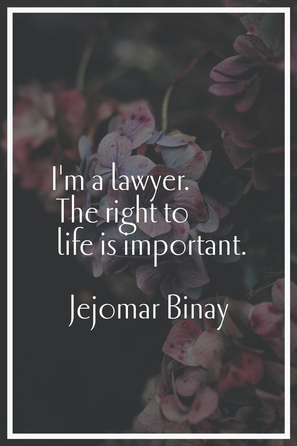I'm a lawyer. The right to life is important.
