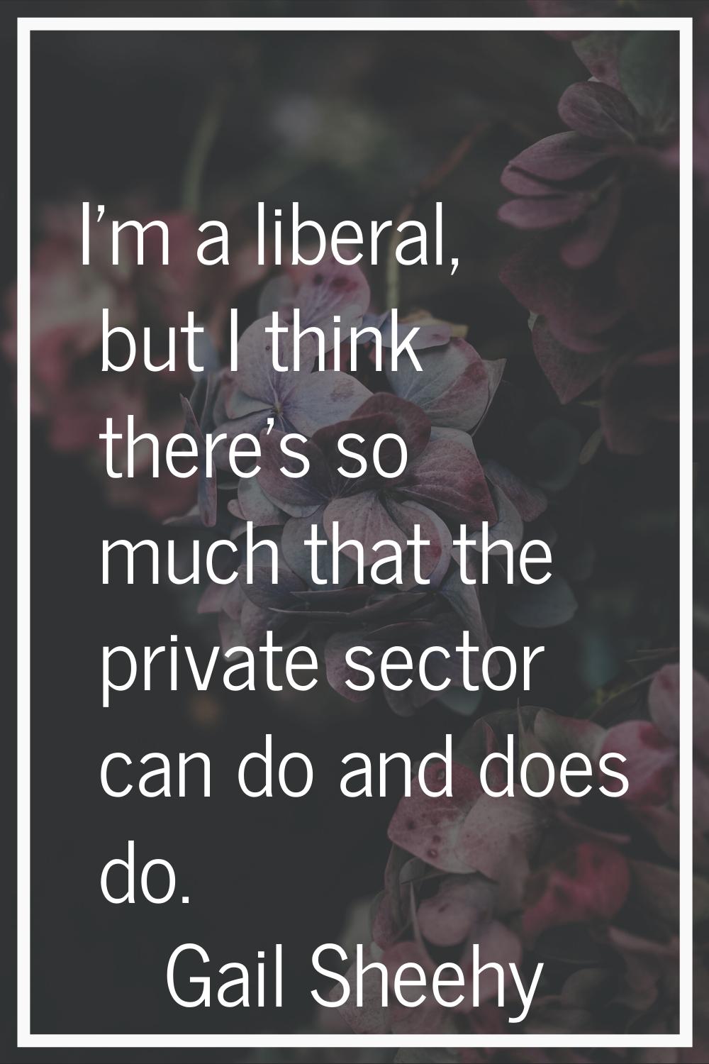 I'm a liberal, but I think there's so much that the private sector can do and does do.