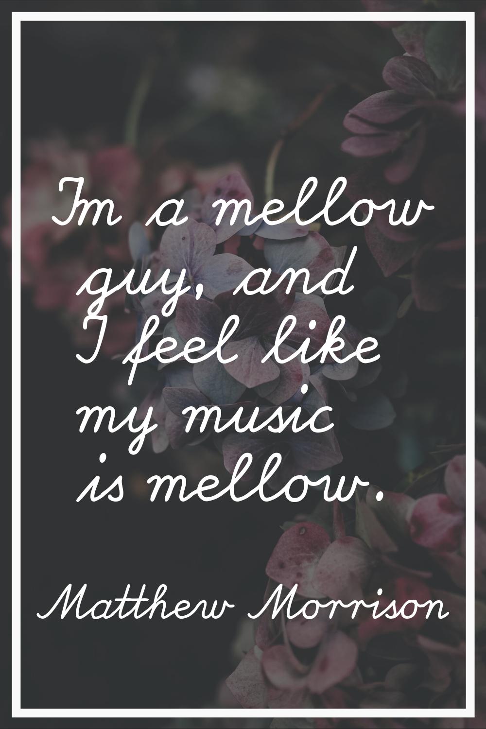 I'm a mellow guy, and I feel like my music is mellow.
