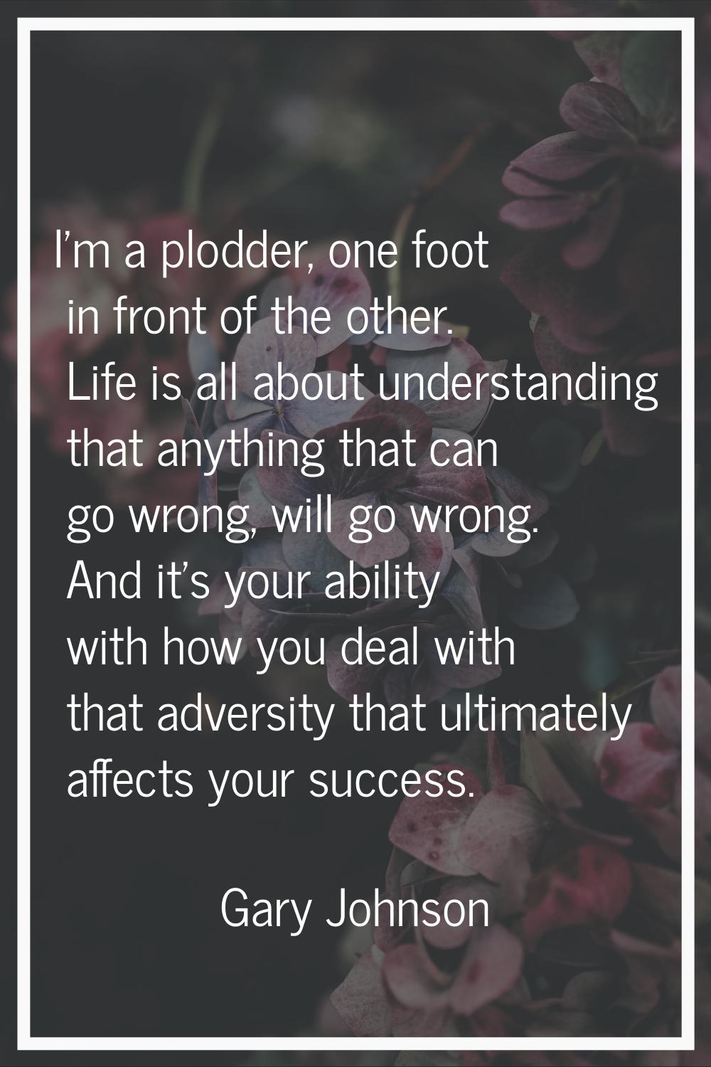 I'm a plodder, one foot in front of the other. Life is all about understanding that anything that c