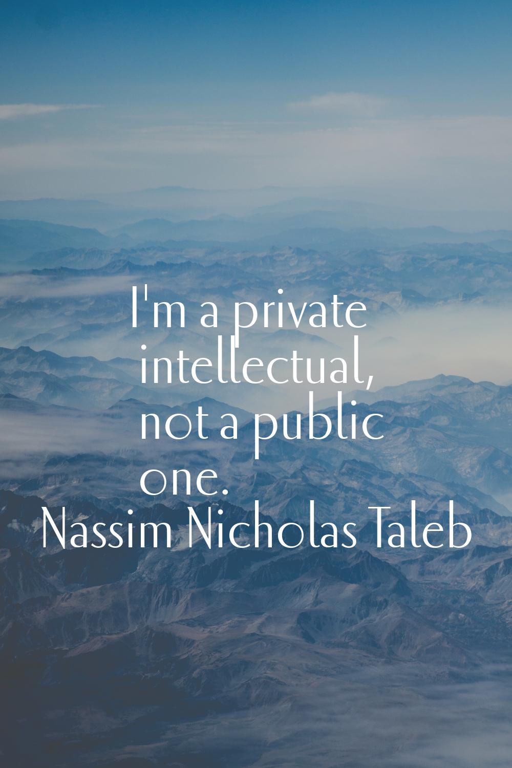 I'm a private intellectual, not a public one.