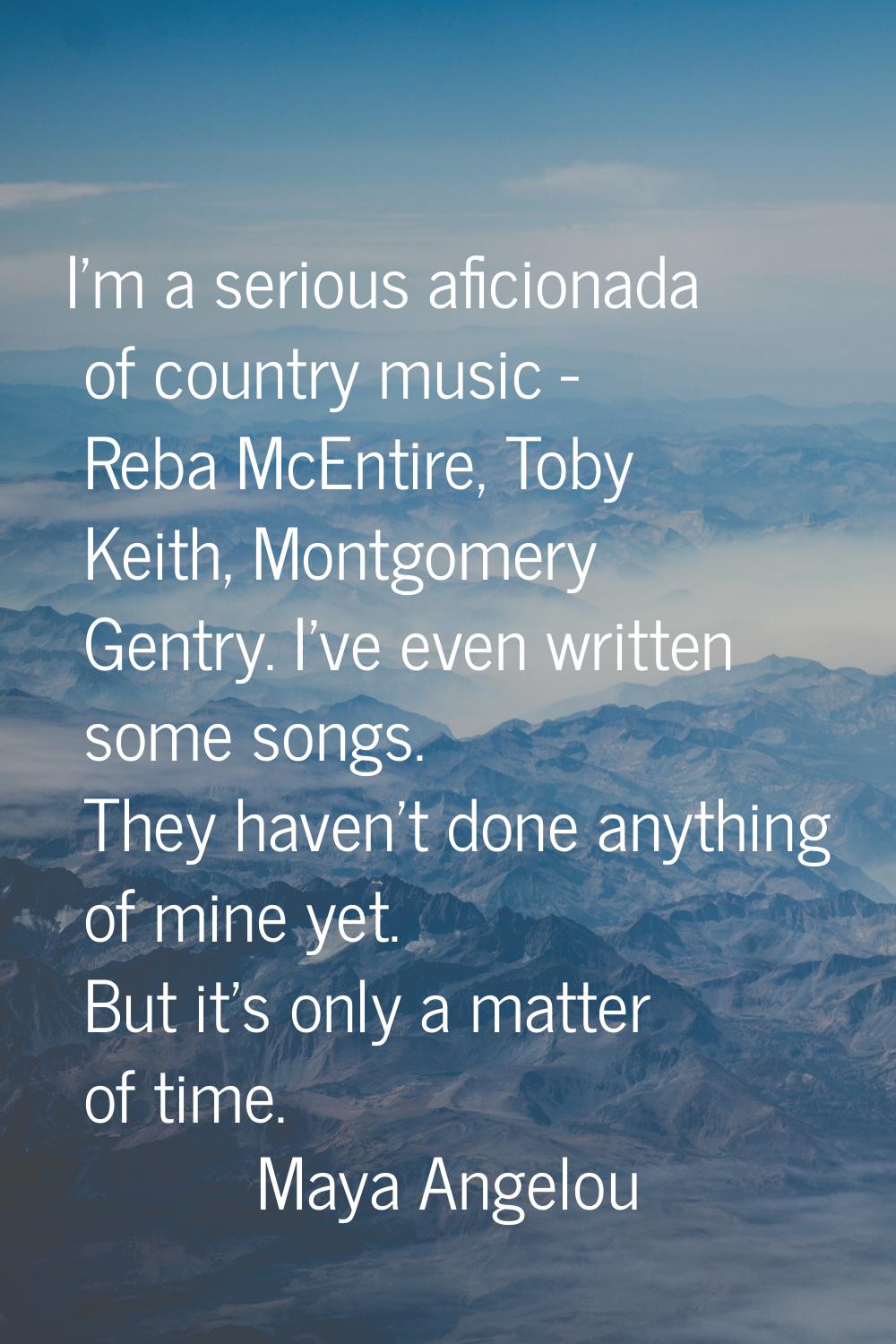 I'm a serious aficionada of country music - Reba McEntire, Toby Keith, Montgomery Gentry. I've even