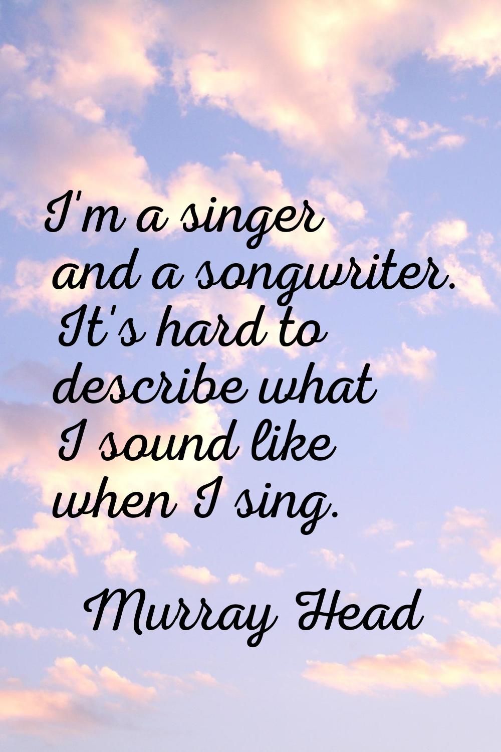 I'm a singer and a songwriter. It's hard to describe what I sound like when I sing.