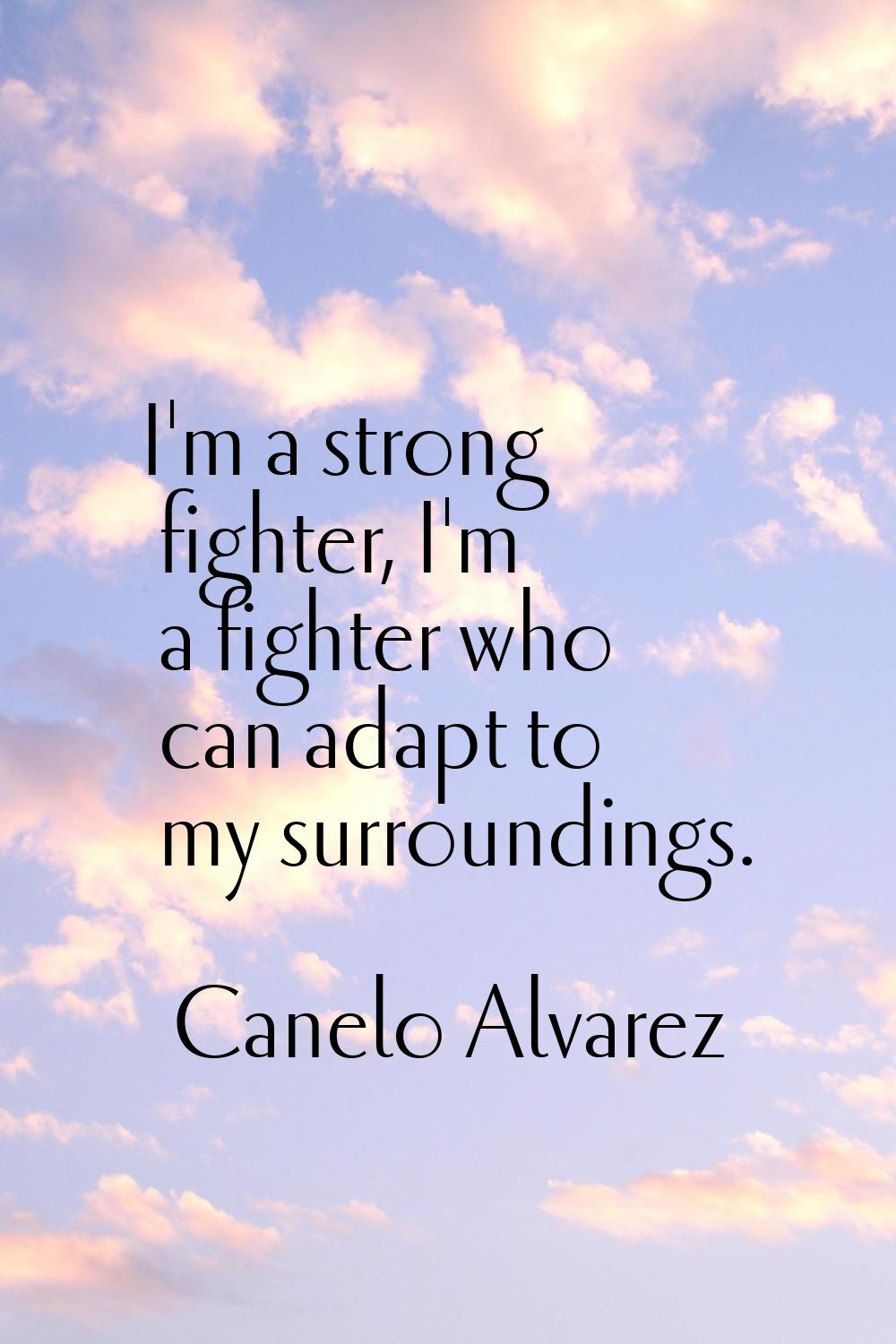 I'm a strong fighter, I'm a fighter who can adapt to my surroundings.