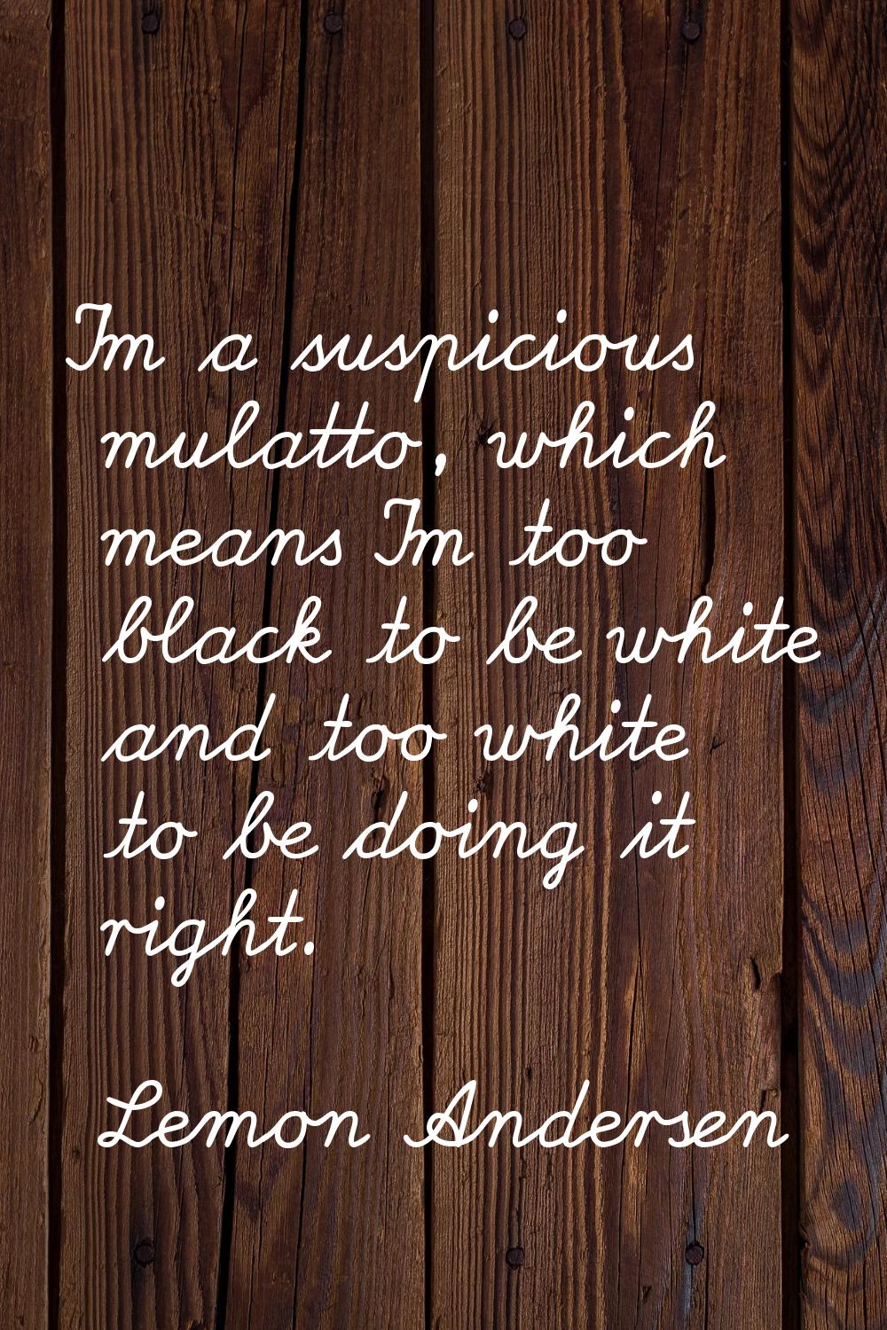 I'm a suspicious mulatto, which means I'm too black to be white and too white to be doing it right.