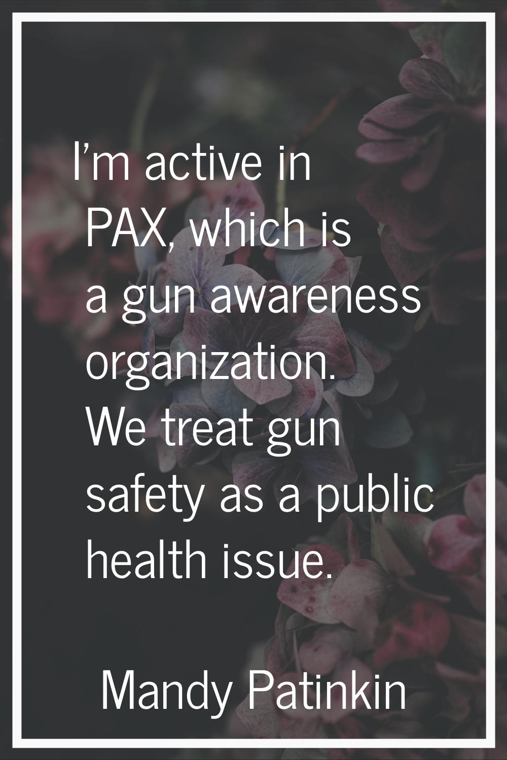 I'm active in PAX, which is a gun awareness organization. We treat gun safety as a public health is