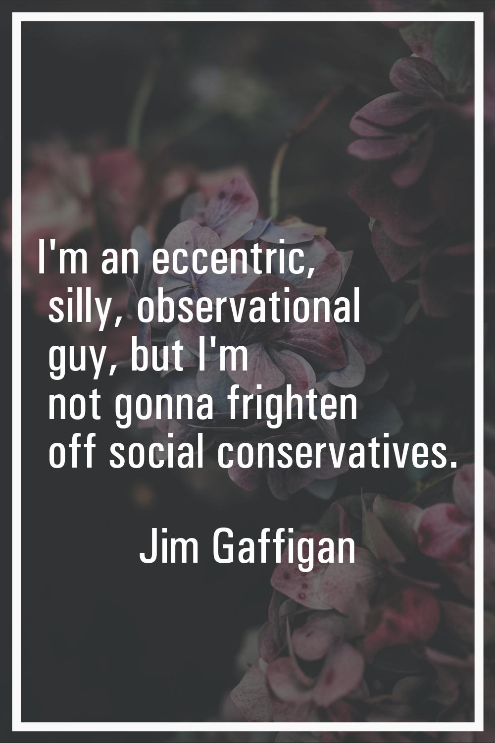 I'm an eccentric, silly, observational guy, but I'm not gonna frighten off social conservatives.