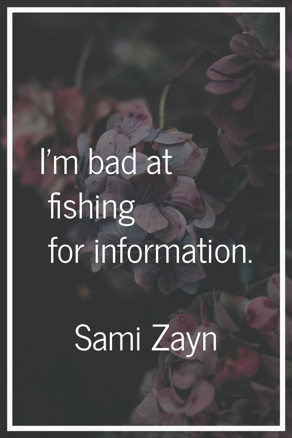 I'm bad at fishing for information.