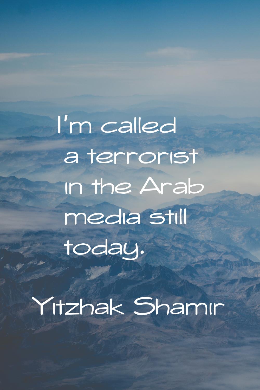 I'm called a terrorist in the Arab media still today.