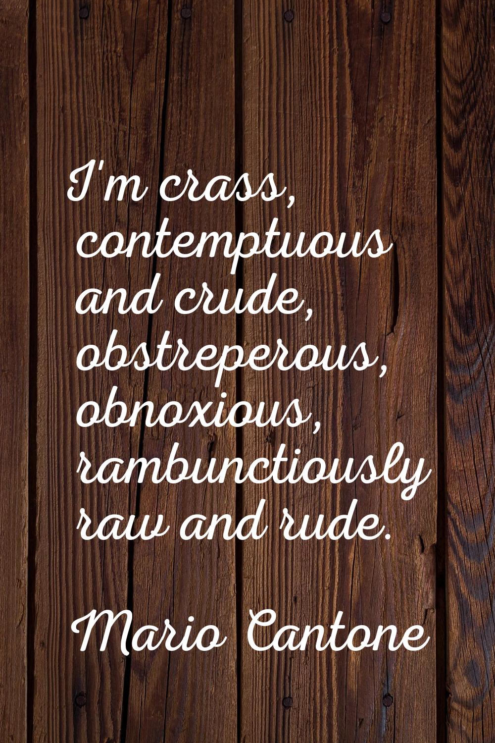 I'm crass, contemptuous and crude, obstreperous, obnoxious, rambunctiously raw and rude.