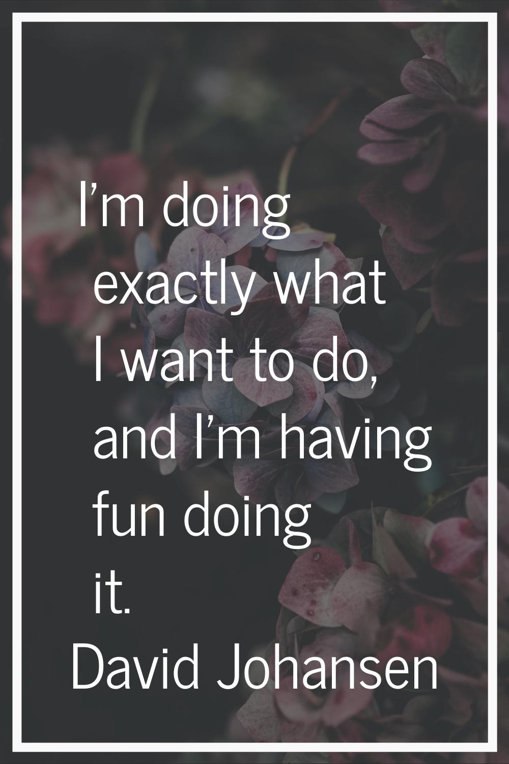 I'm doing exactly what I want to do, and I'm having fun doing it.