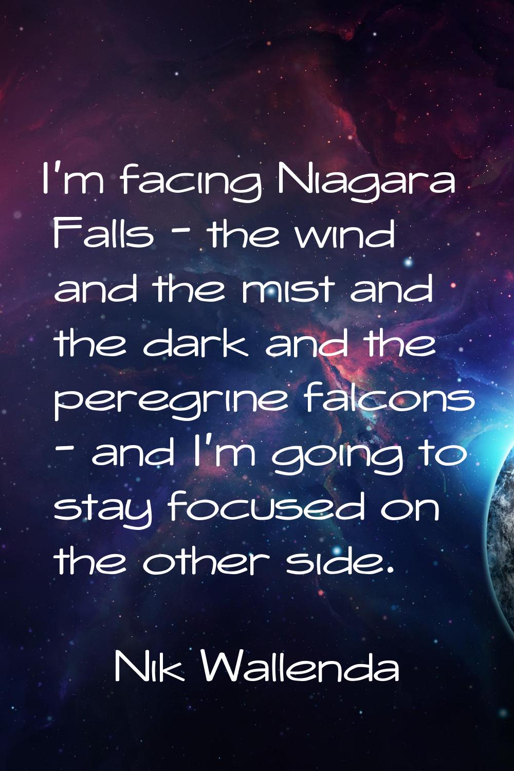 I'm facing Niagara Falls - the wind and the mist and the dark and the peregrine falcons - and I'm g