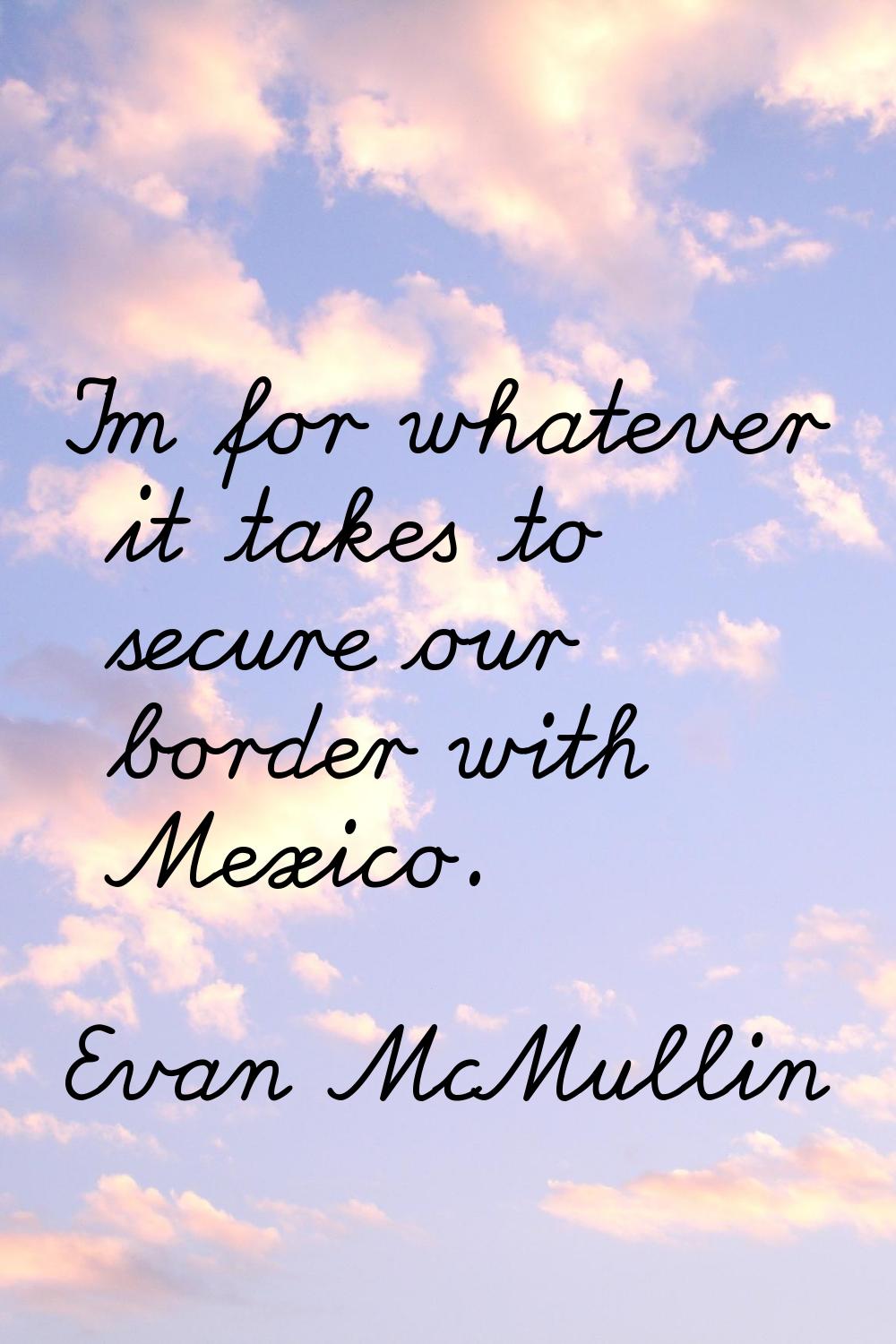 I'm for whatever it takes to secure our border with Mexico.