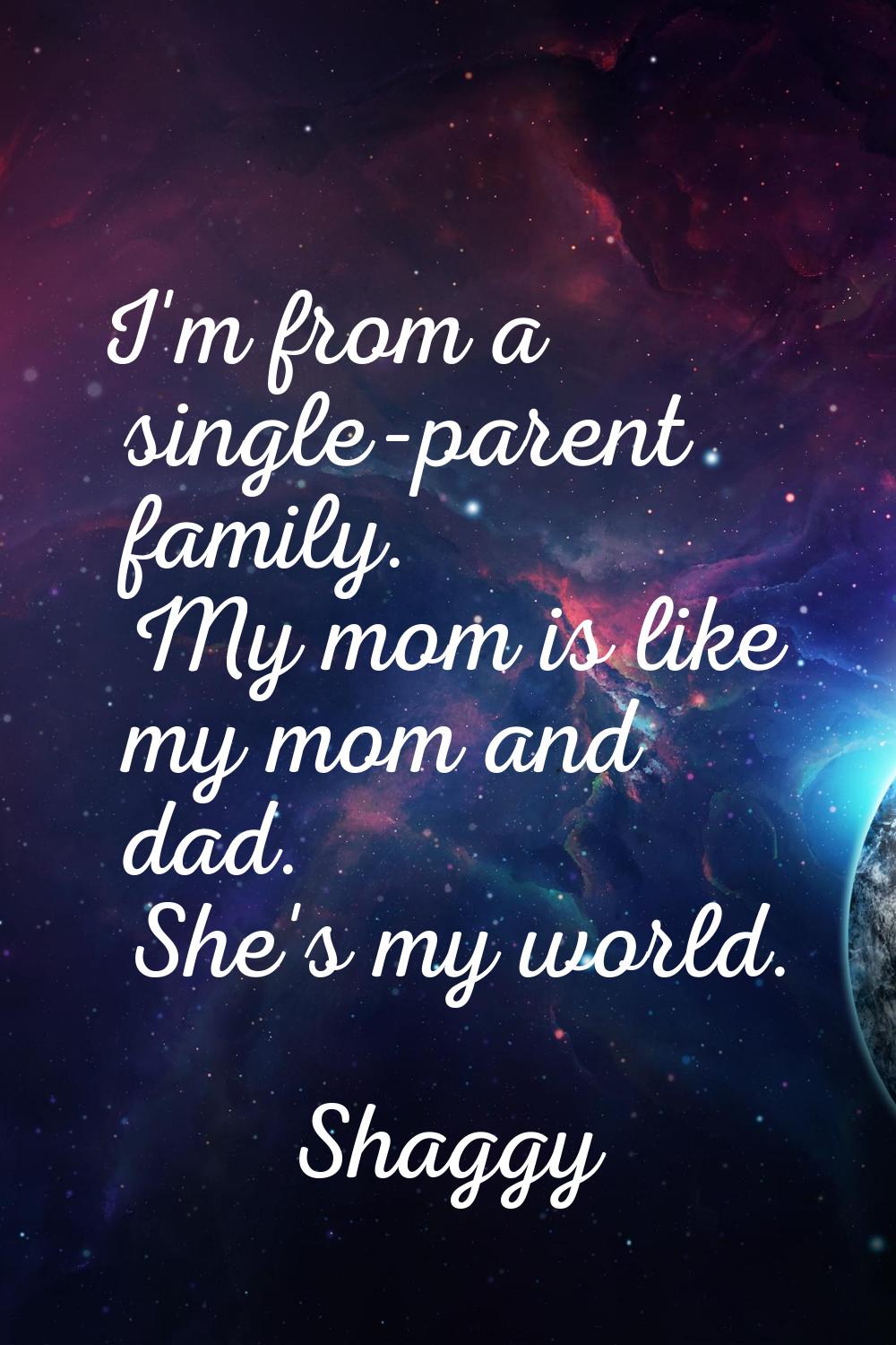 I'm from a single-parent family. My mom is like my mom and dad. She's my world.