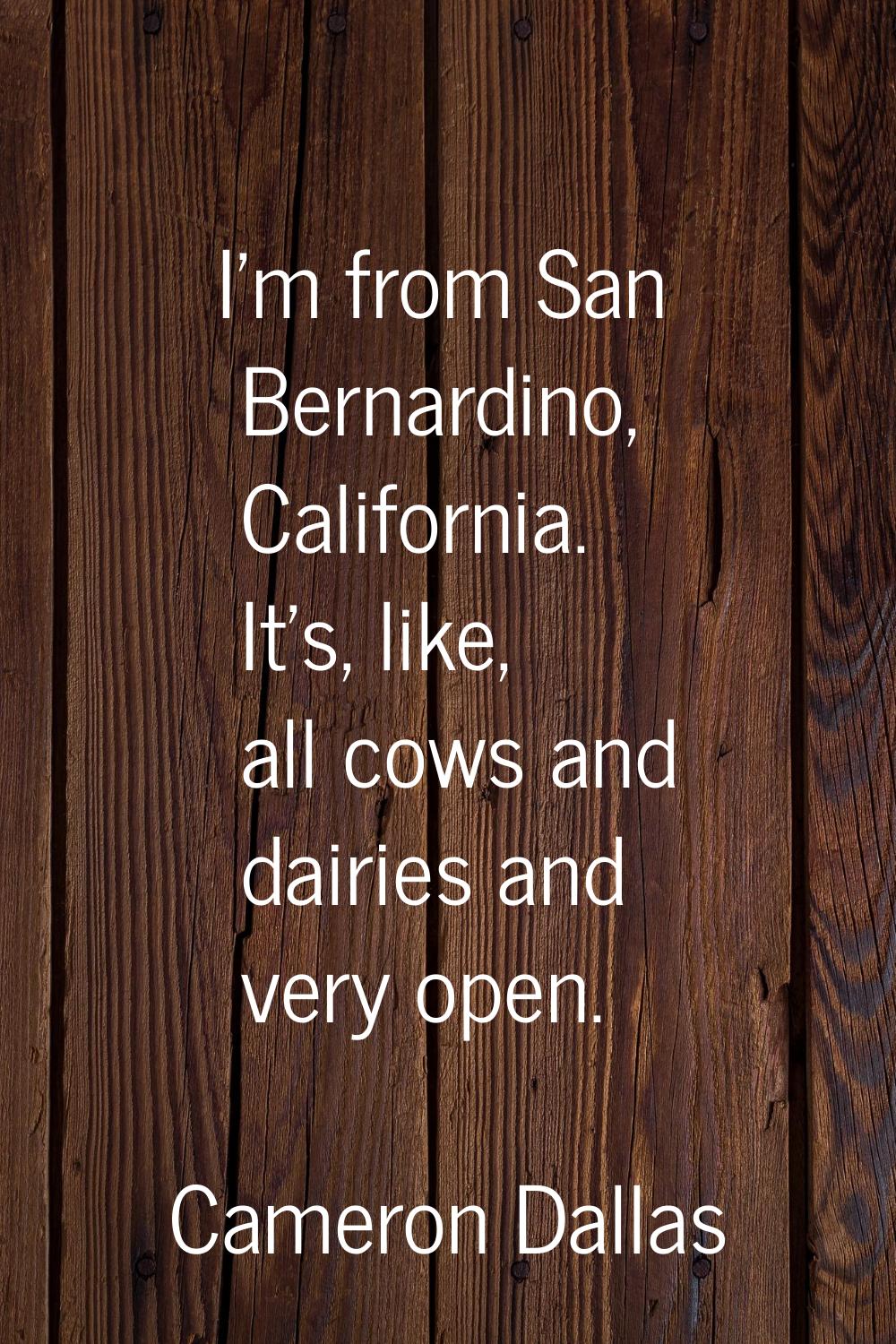 I'm from San Bernardino, California. It's, like, all cows and dairies and very open.