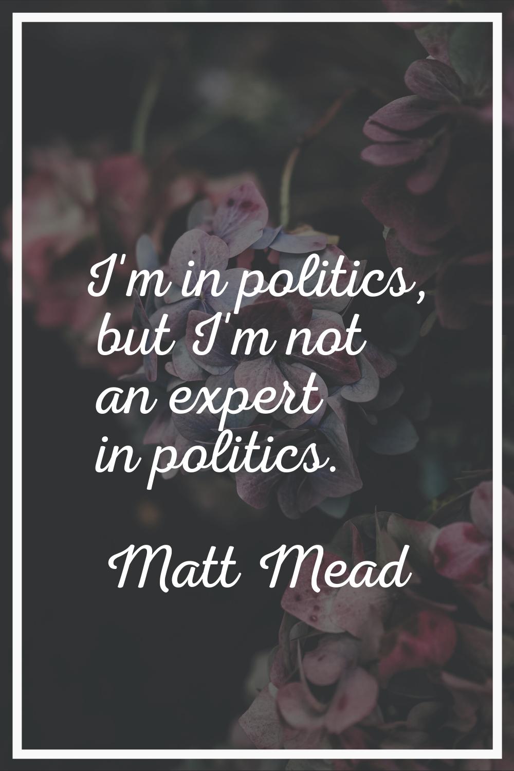 I'm in politics, but I'm not an expert in politics.