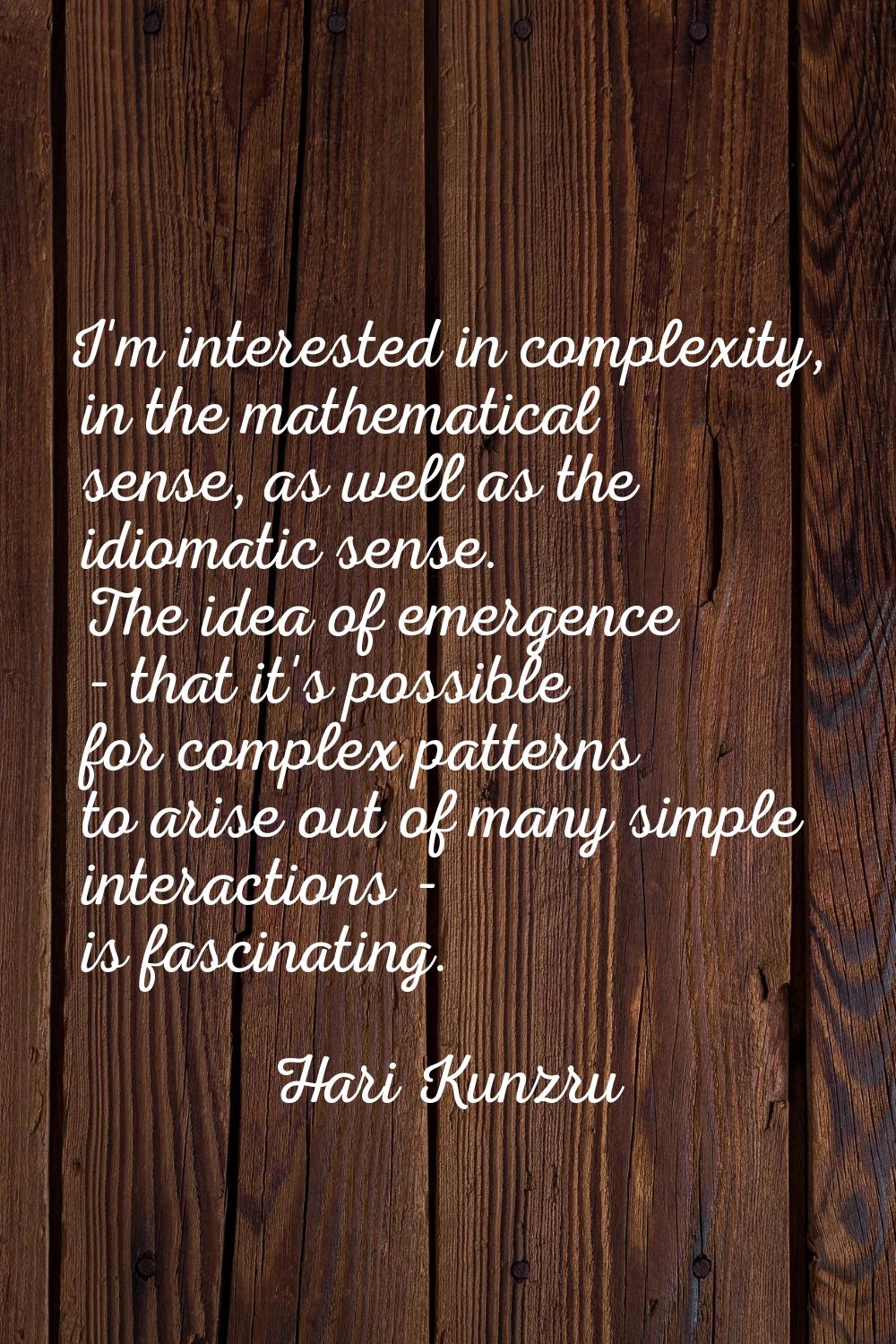 I'm interested in complexity, in the mathematical sense, as well as the idiomatic sense. The idea o
