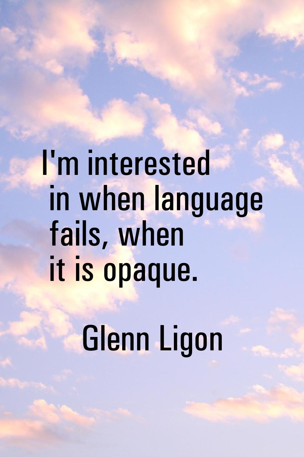 I'm interested in when language fails, when it is opaque.