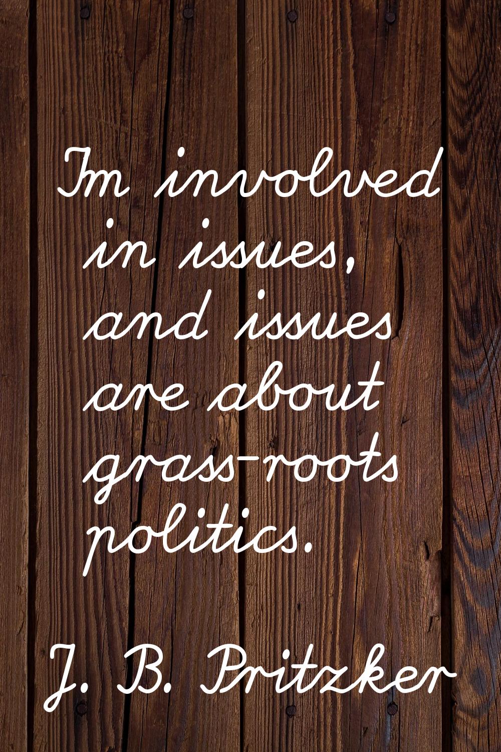 I'm involved in issues, and issues are about grass-roots politics.