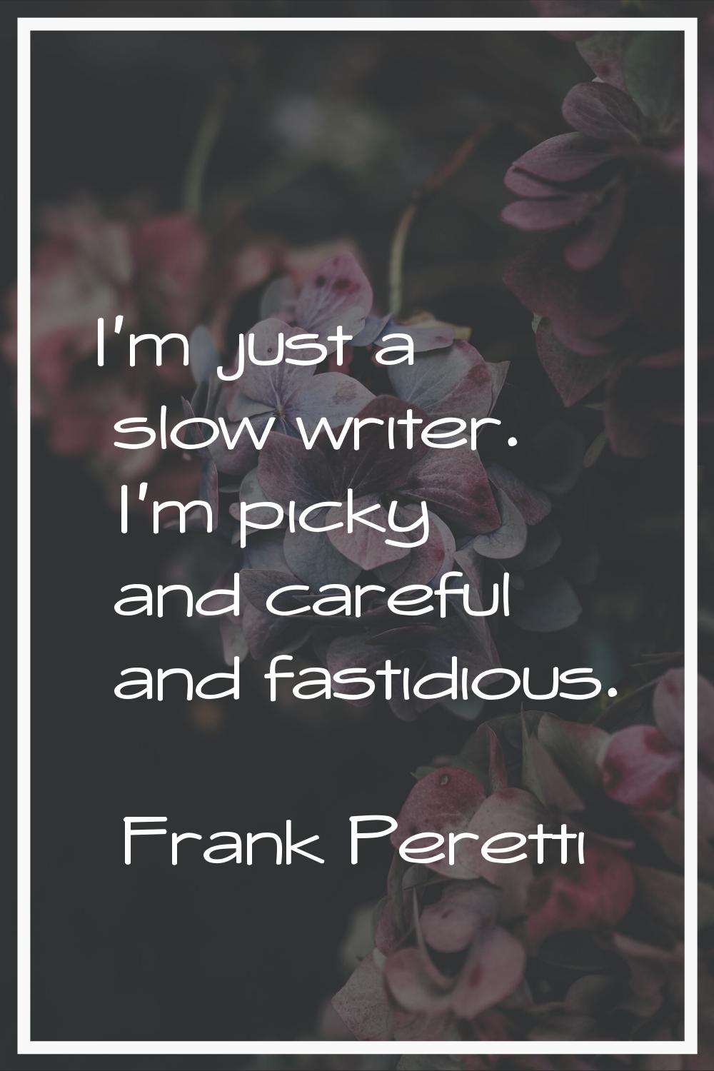 I'm just a slow writer. I'm picky and careful and fastidious.