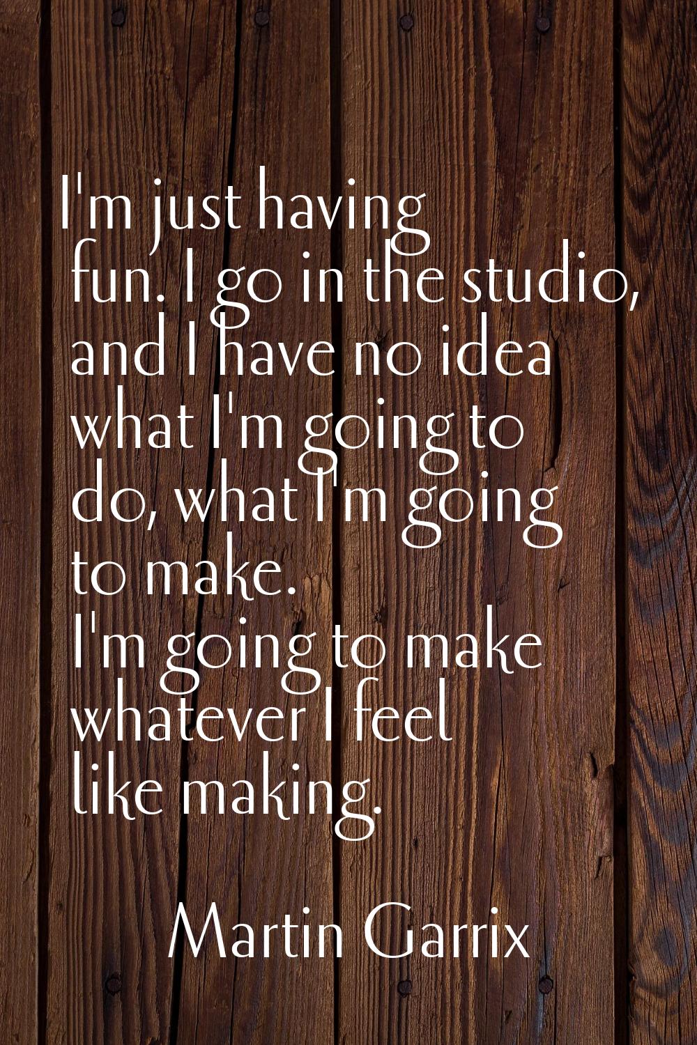 I'm just having fun. I go in the studio, and I have no idea what I'm going to do, what I'm going to