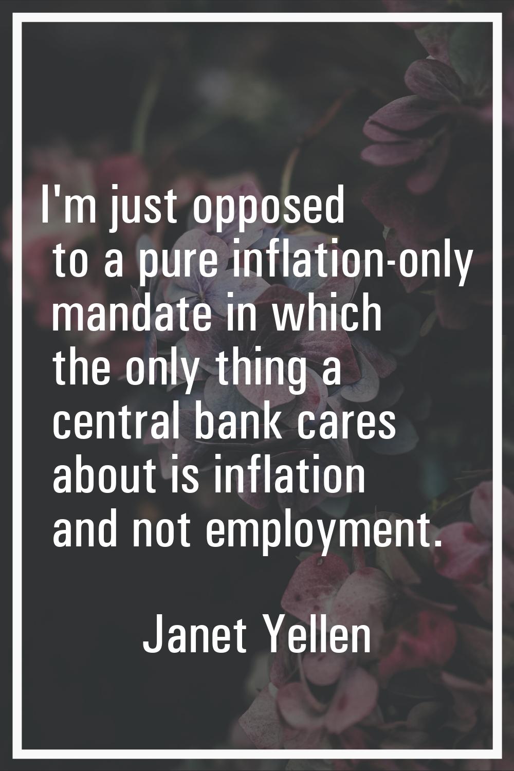 I'm just opposed to a pure inflation-only mandate in which the only thing a central bank cares abou