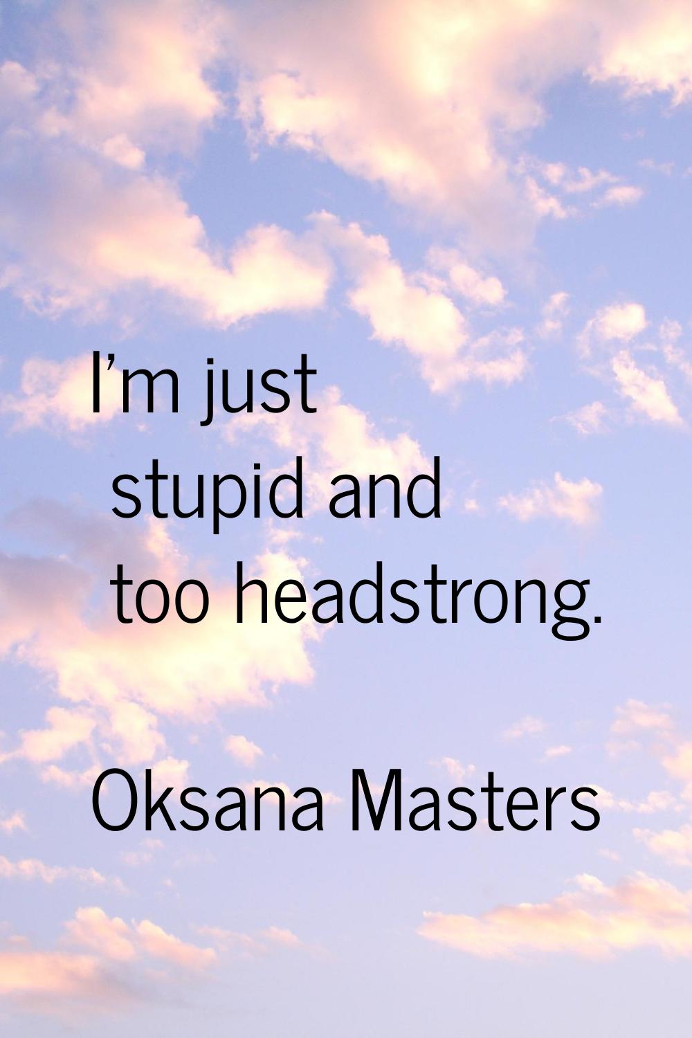 I'm just stupid and too headstrong.