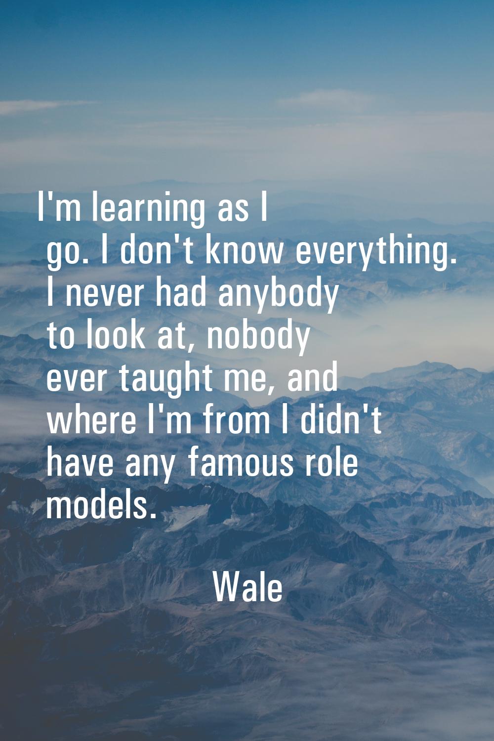I'm learning as I go. I don't know everything. I never had anybody to look at, nobody ever taught m
