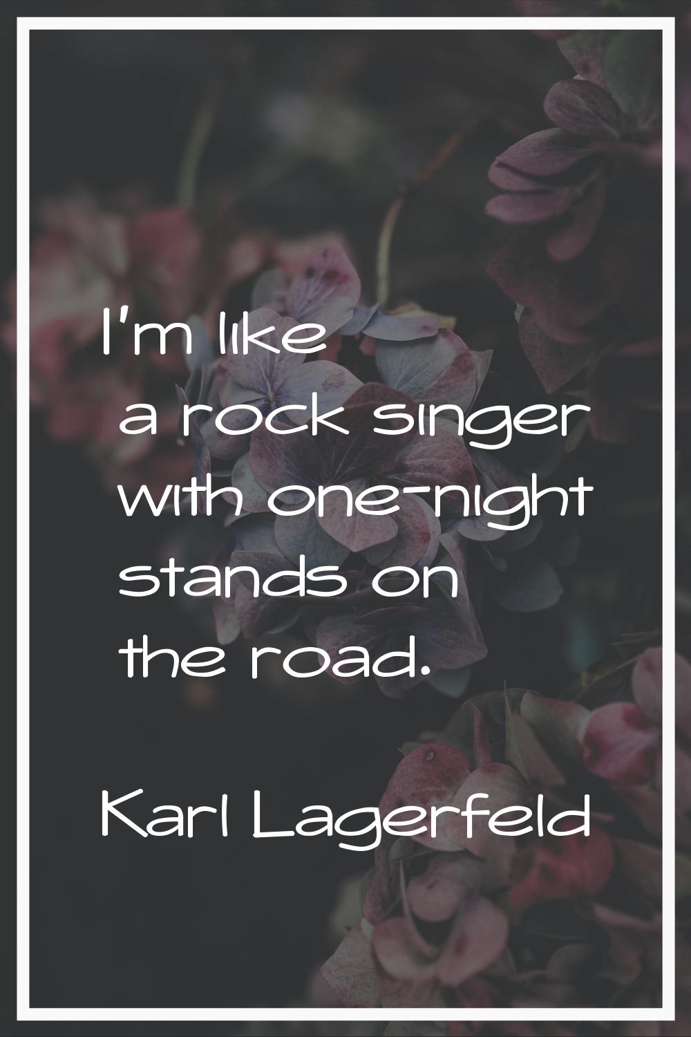 I'm like a rock singer with one-night stands on the road.