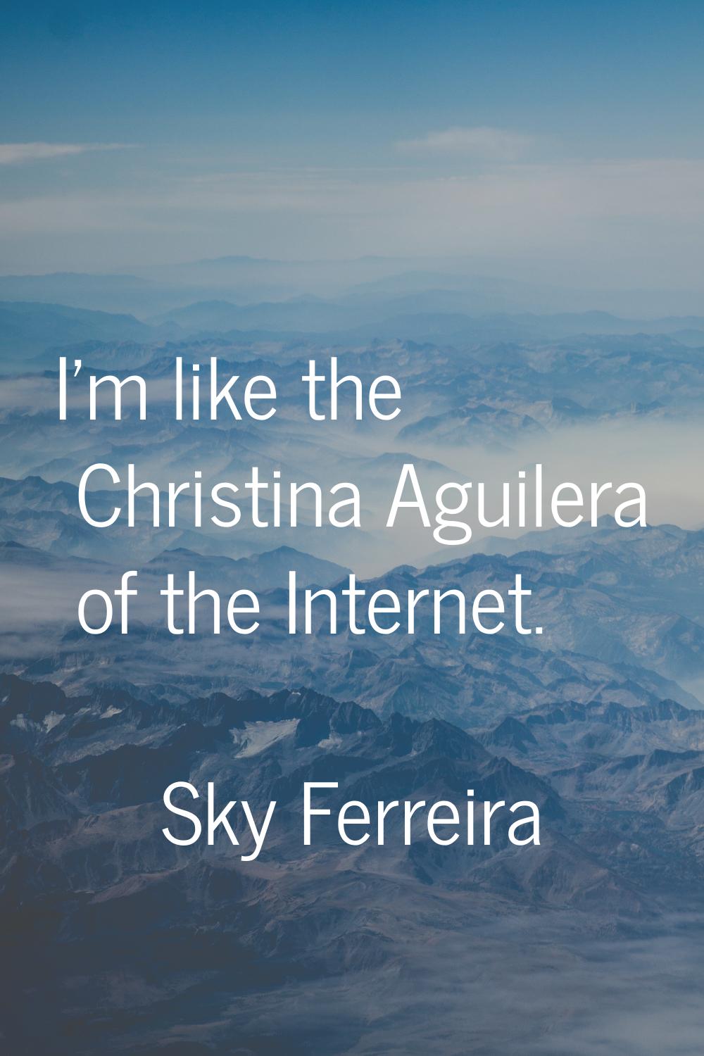 I'm like the Christina Aguilera of the Internet.