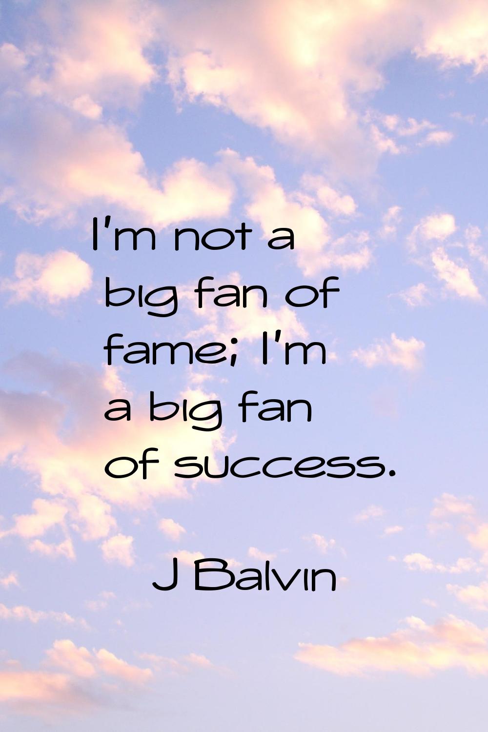 I'm not a big fan of fame; I'm a big fan of success.