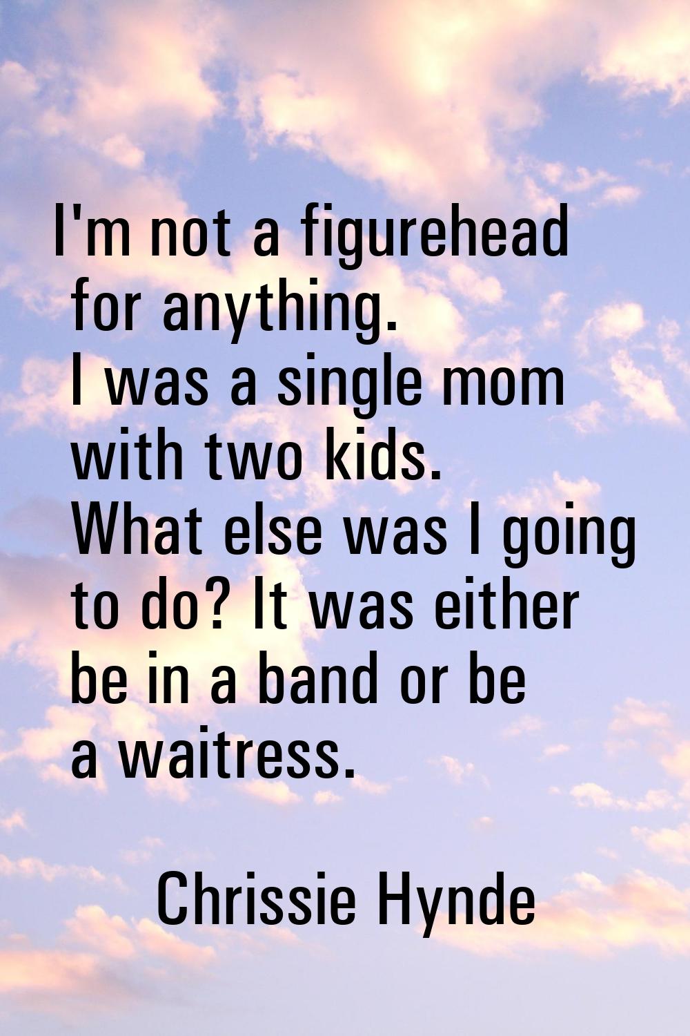 I'm not a figurehead for anything. I was a single mom with two kids. What else was I going to do? I