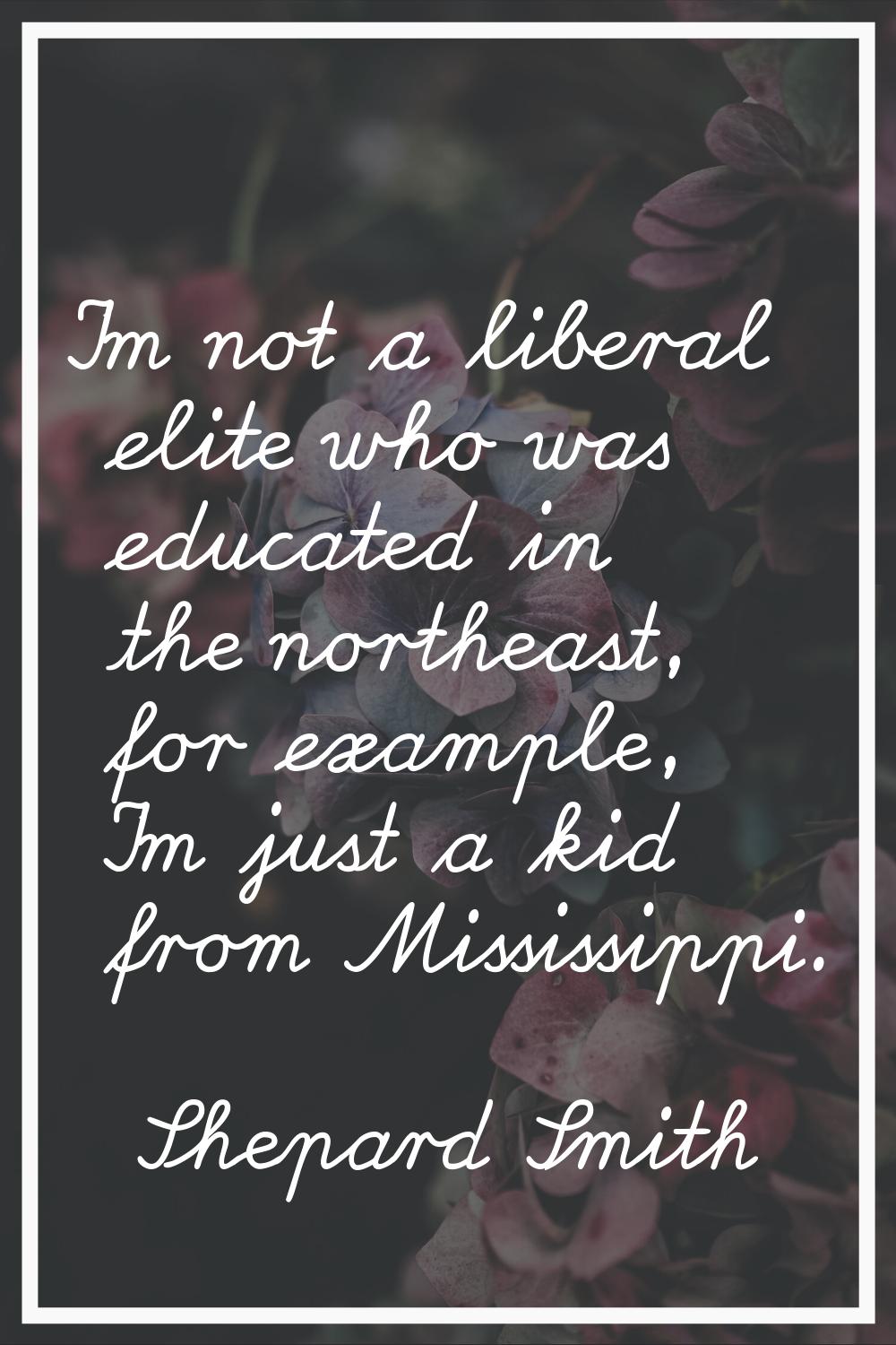 I'm not a liberal elite who was educated in the northeast, for example, I'm just a kid from Mississ