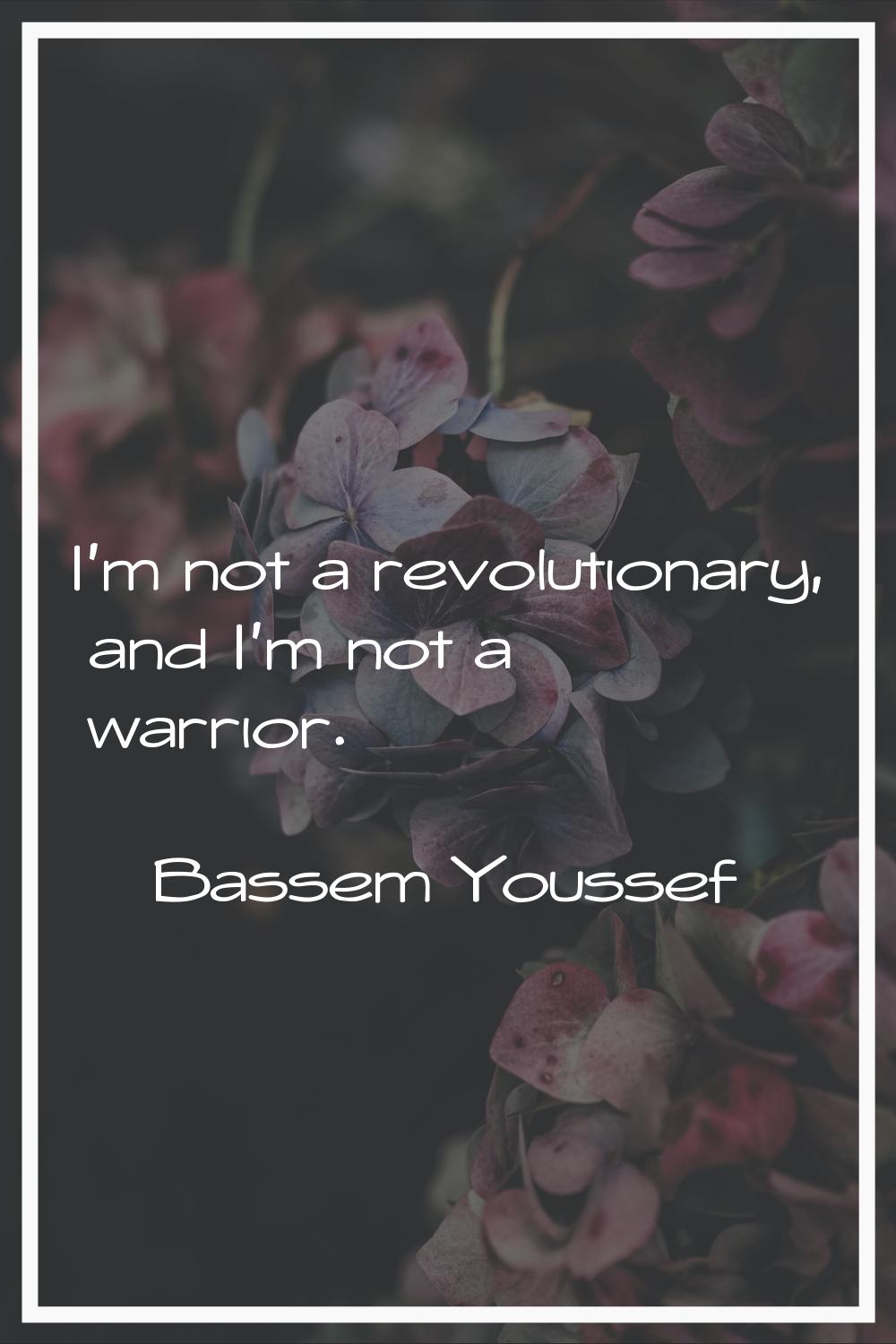 I'm not a revolutionary, and I'm not a warrior.