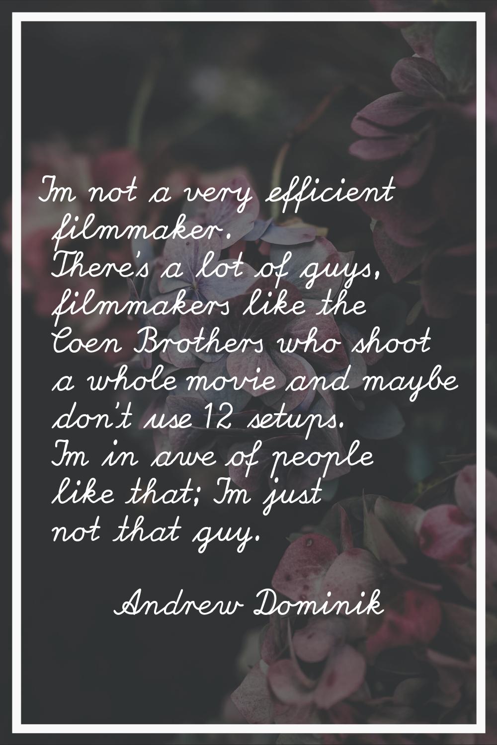I'm not a very efficient filmmaker. There's a lot of guys, filmmakers like the Coen Brothers who sh
