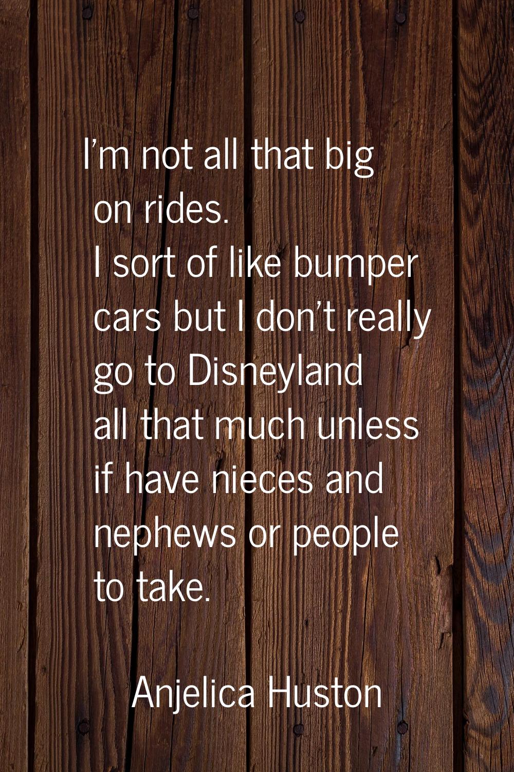 I'm not all that big on rides. I sort of like bumper cars but I don't really go to Disneyland all t