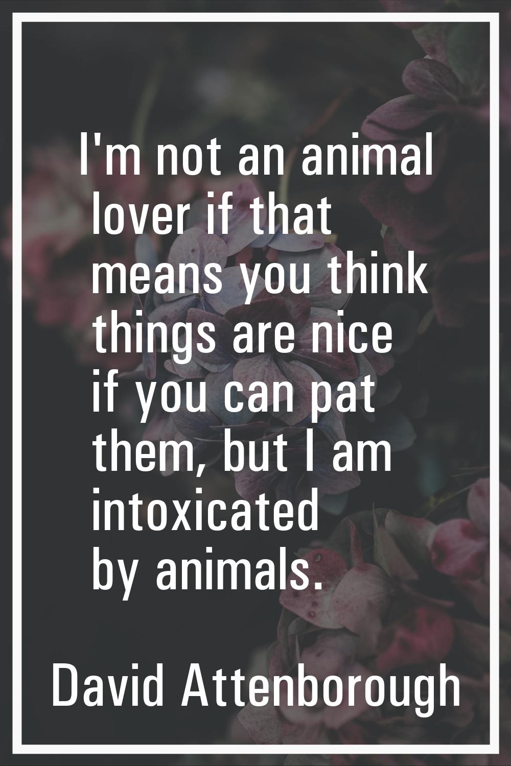 I'm not an animal lover if that means you think things are nice if you can pat them, but I am intox