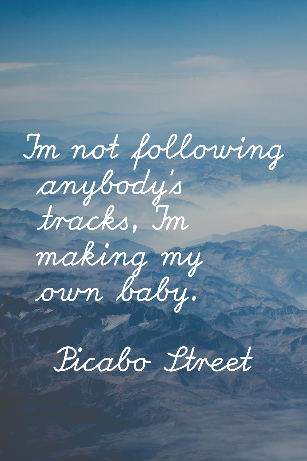 I'm not following anybody's tracks, I'm making my own baby.