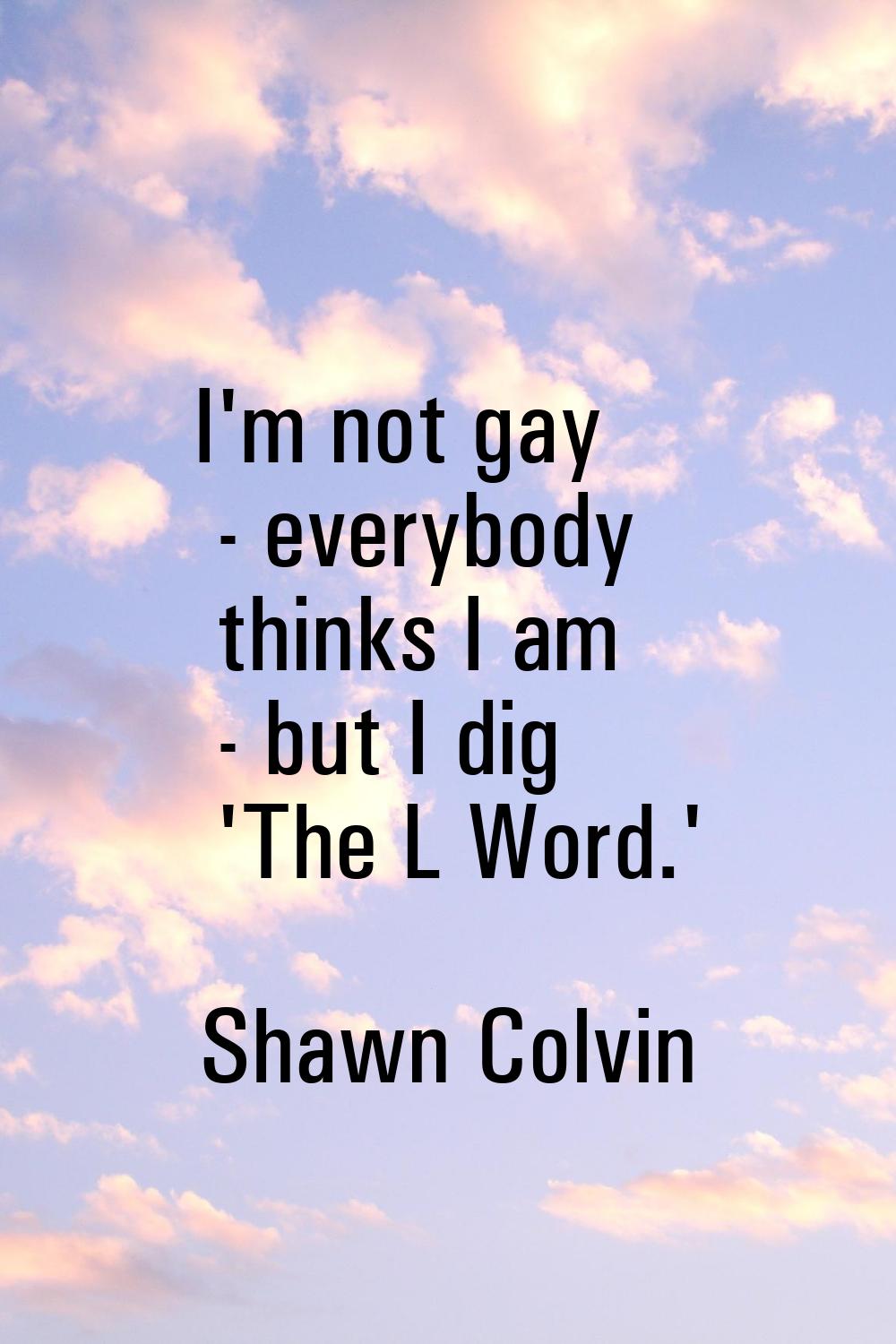 I'm not gay - everybody thinks I am - but I dig 'The L Word.'