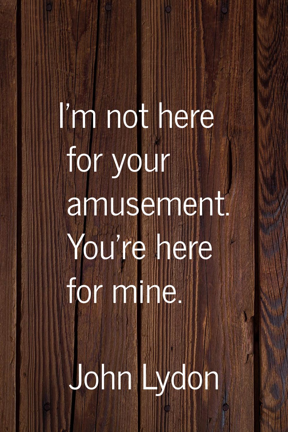 I'm not here for your amusement. You're here for mine.