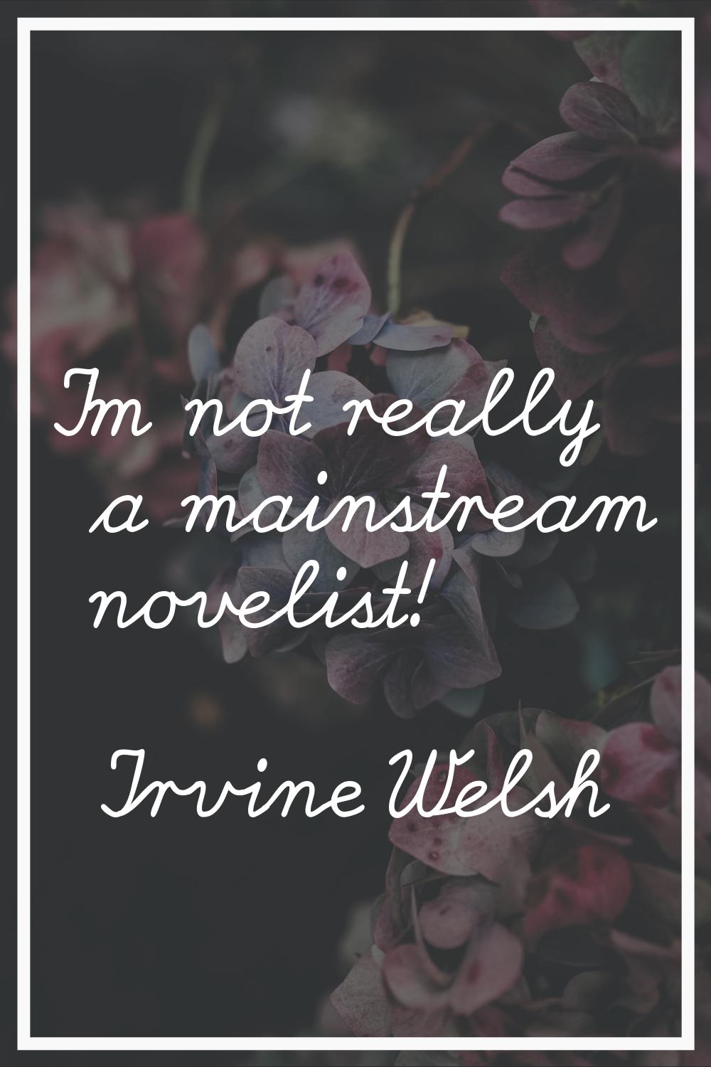 I'm not really a mainstream novelist!