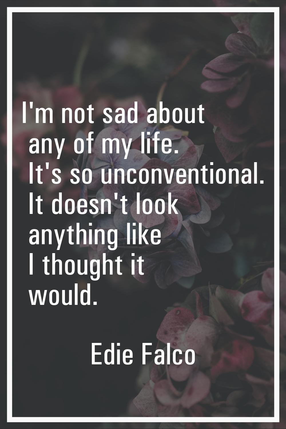 I'm not sad about any of my life. It's so unconventional. It doesn't look anything like I thought i