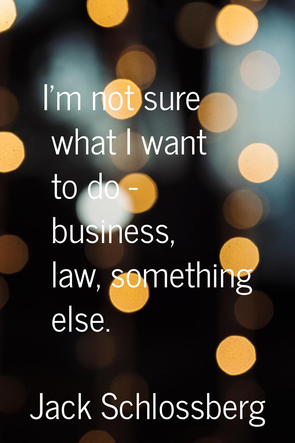 I'm not sure what I want to do - business, law, something else.