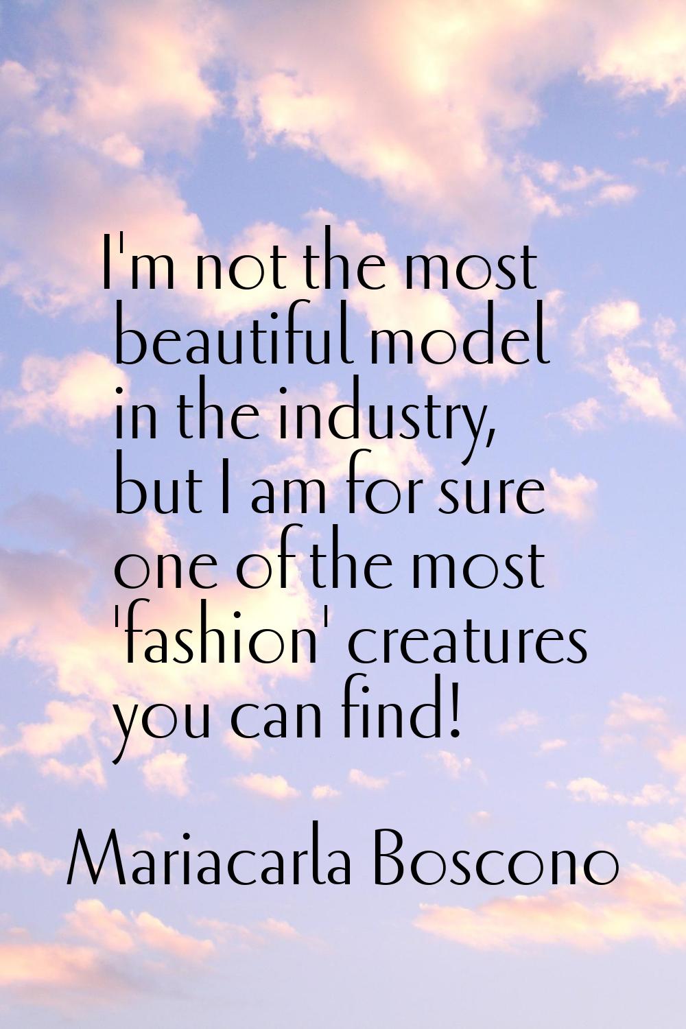 I'm not the most beautiful model in the industry, but I am for sure one of the most 'fashion' creat