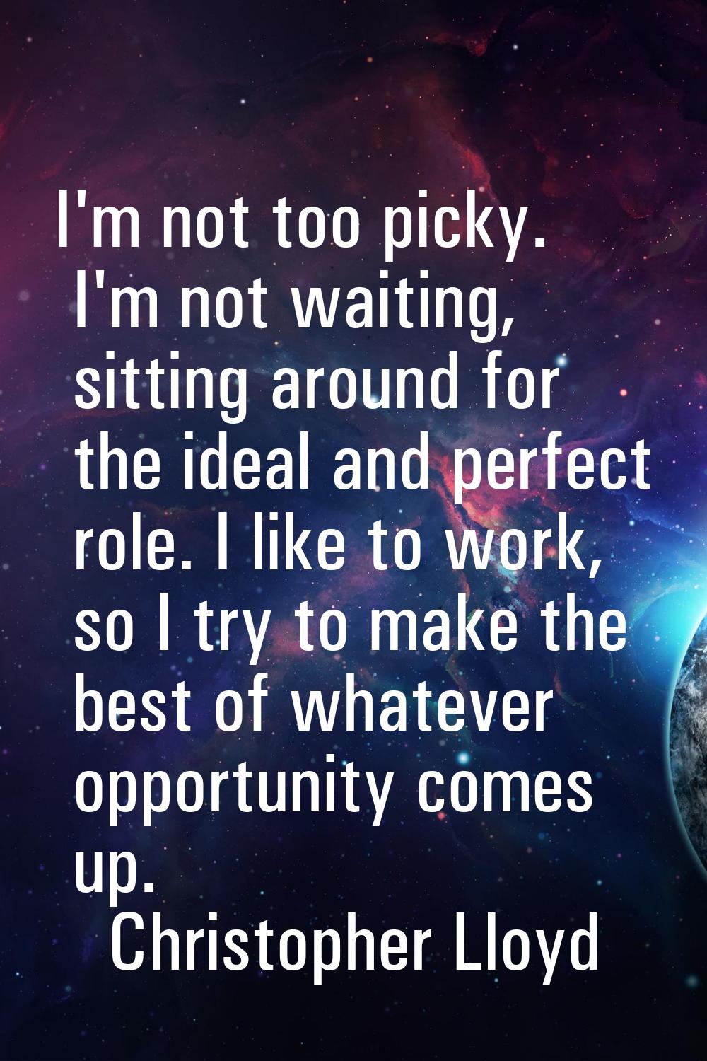 I'm not too picky. I'm not waiting, sitting around for the ideal and perfect role. I like to work, 