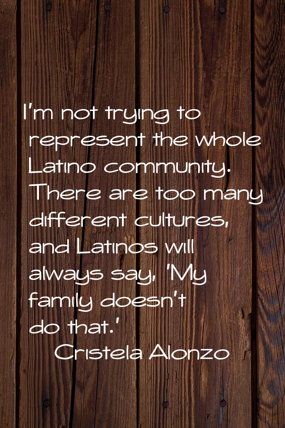 I'm not trying to represent the whole Latino community. There are too many different cultures, and 