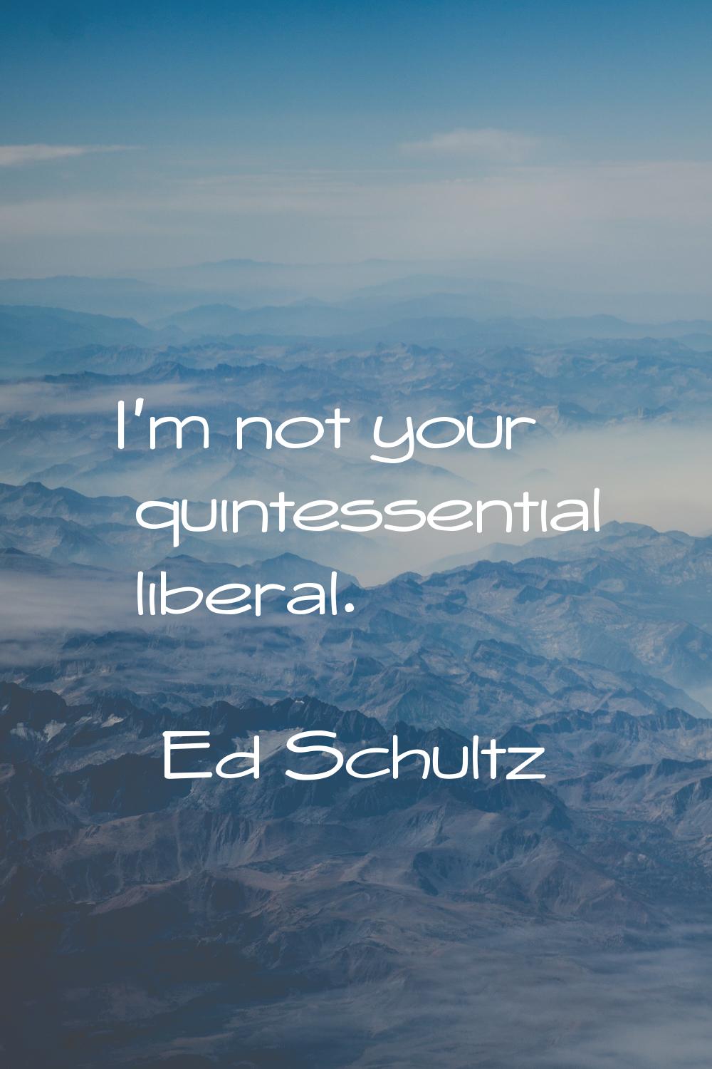 I'm not your quintessential liberal.
