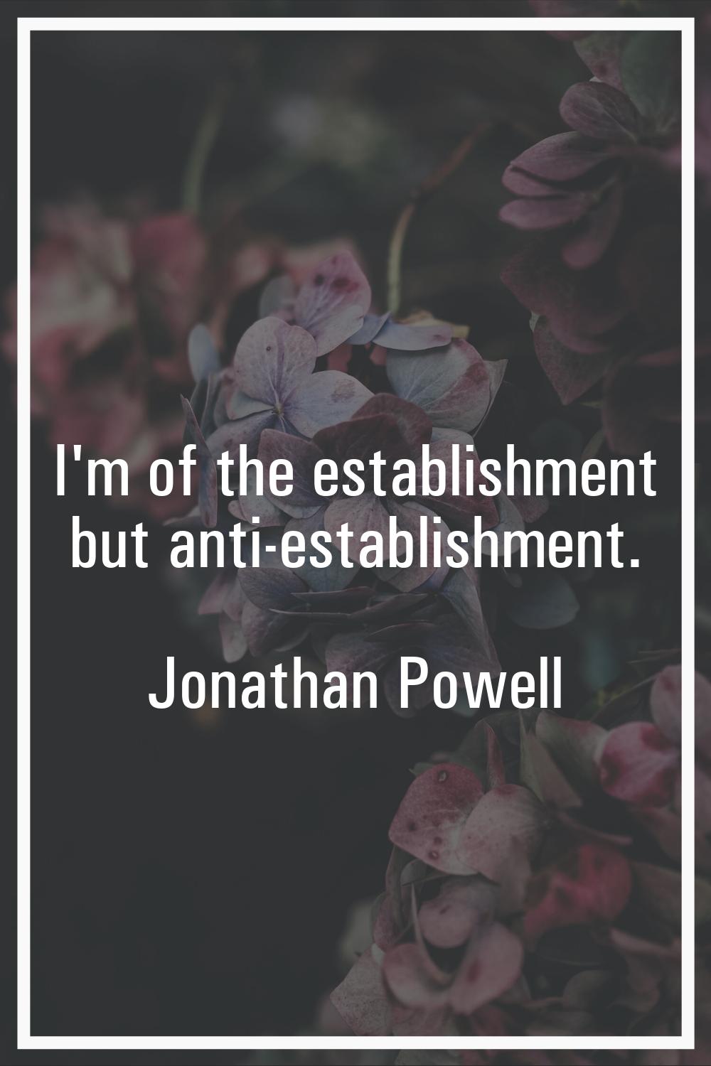 I'm of the establishment but anti-establishment.