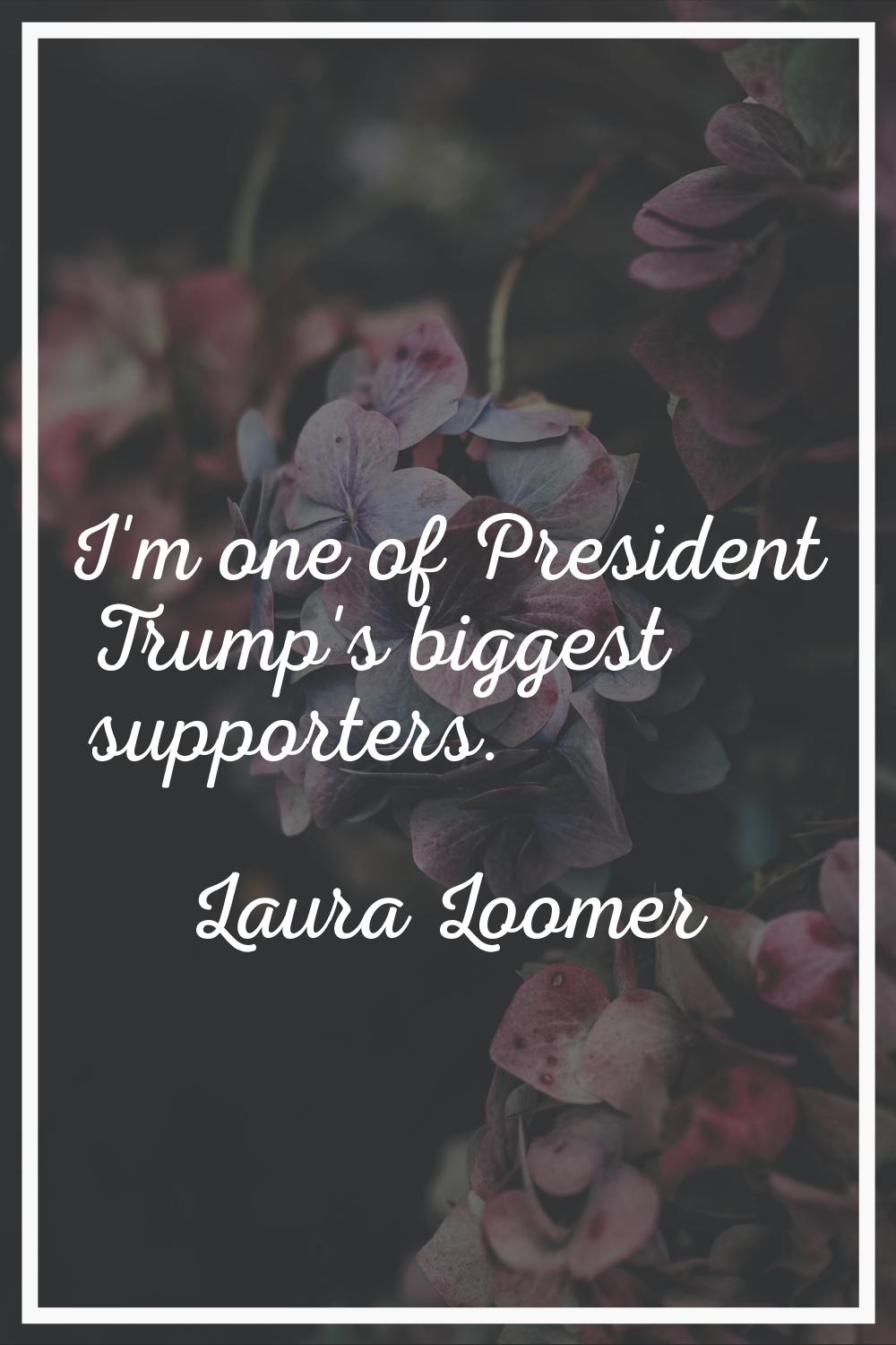 I'm one of President Trump's biggest supporters.