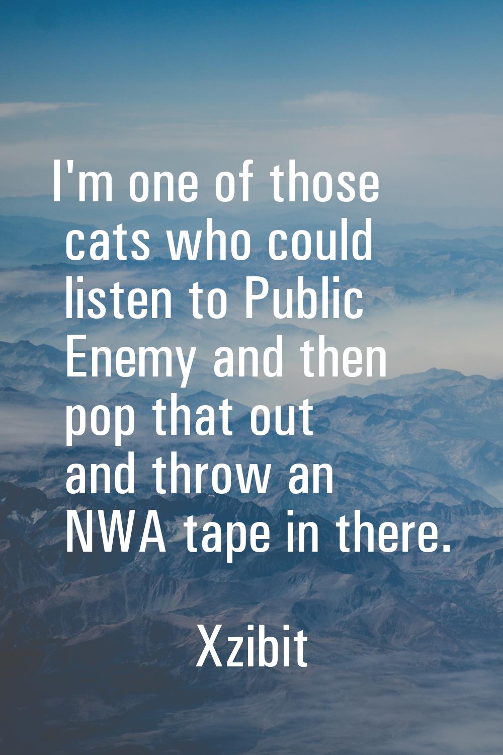 I'm one of those cats who could listen to Public Enemy and then pop that out and throw an NWA tape 